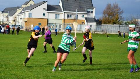 Camogie ladies into Championship Final