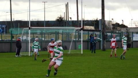 Strong Whitehall overcome 21 hurlers