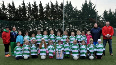 Irish Fairy Door Company sponsoring Under 8 girls