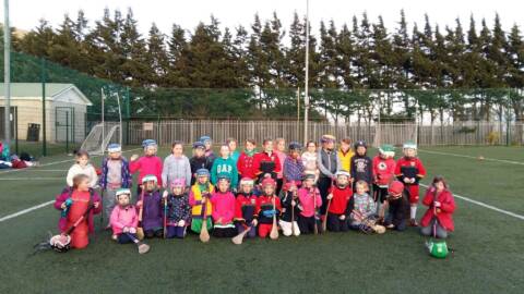 Camogie News – Under 8’s & 9’s relay challenge & 13’s Skillstar competition