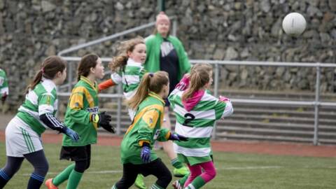 Juvenile Fixtures 11th & 12th March 2017 – Football, Ladies Football, Camogie