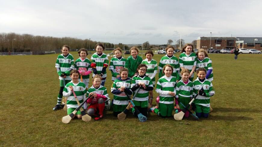 Camogie Update