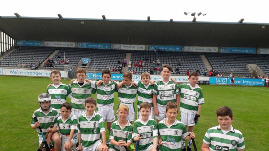 Success for Under 11 Hurlers in Camaint