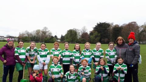 Under 11 Camogs support 20 x 20 movement
