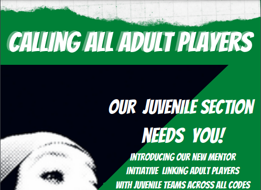 Calling All Adult Players