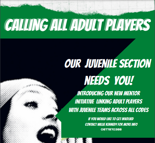 Calling All Adult Players