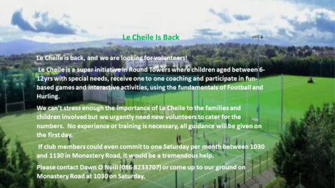 Le Cheile is back and we need volunteers