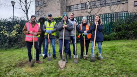 Native Tree Planting in Monastery Road
